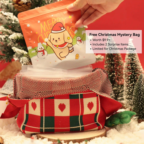 All 13 Musical Bracelets in One Set