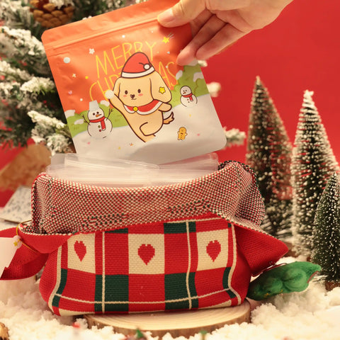 Christmas Mystery Bag